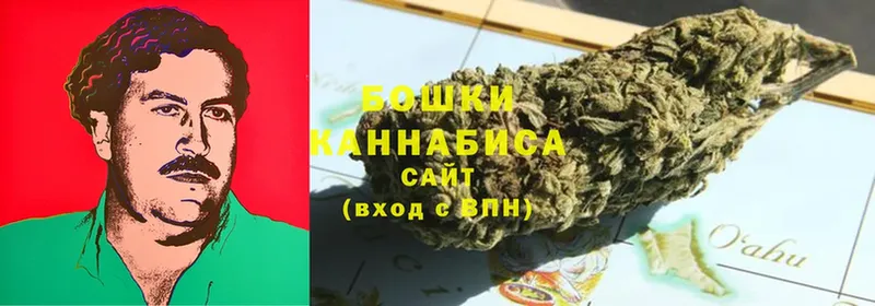 Канабис SATIVA & INDICA  купить закладку  Иноземцево 